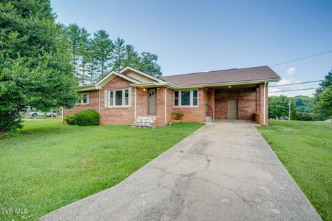 Photo of 59 New Hope Road, Greeneville, TN 37745 (MLS # 9997553)