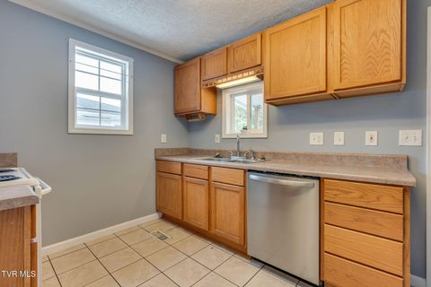 Tiny photo for 219 New Avenue, Erwin, TN 37650 (MLS # 9986453)