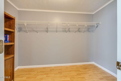 Tiny photo for 219 New Avenue, Erwin, TN 37650 (MLS # 9986453)