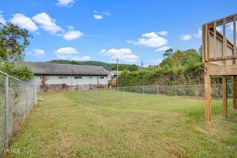 Tiny photo for 219 New Avenue, Erwin, TN 37650 (MLS # 9986453)