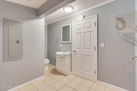 Tiny photo for 219 New Avenue, Erwin, TN 37650 (MLS # 9986453)