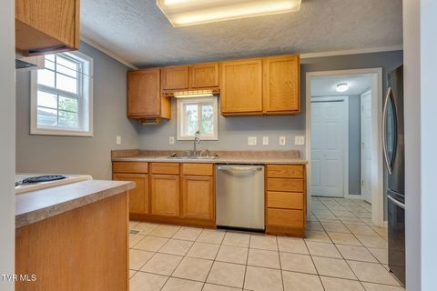 Tiny photo for 219 New Avenue, Erwin, TN 37650 (MLS # 9986453)