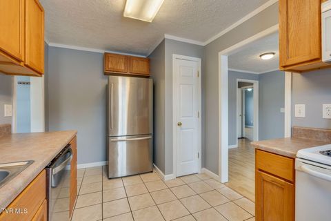Tiny photo for 219 New Avenue, Erwin, TN 37650 (MLS # 9986453)