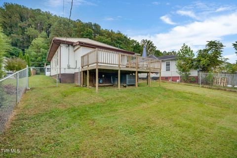 Tiny photo for 219 New Avenue, Erwin, TN 37650 (MLS # 9986453)