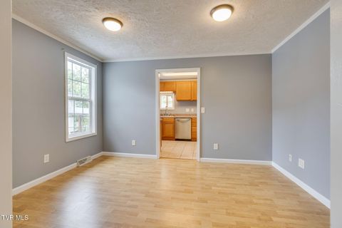 Tiny photo for 219 New Avenue, Erwin, TN 37650 (MLS # 9986453)
