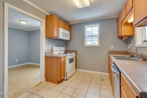 Tiny photo for 219 New Avenue, Erwin, TN 37650 (MLS # 9986453)
