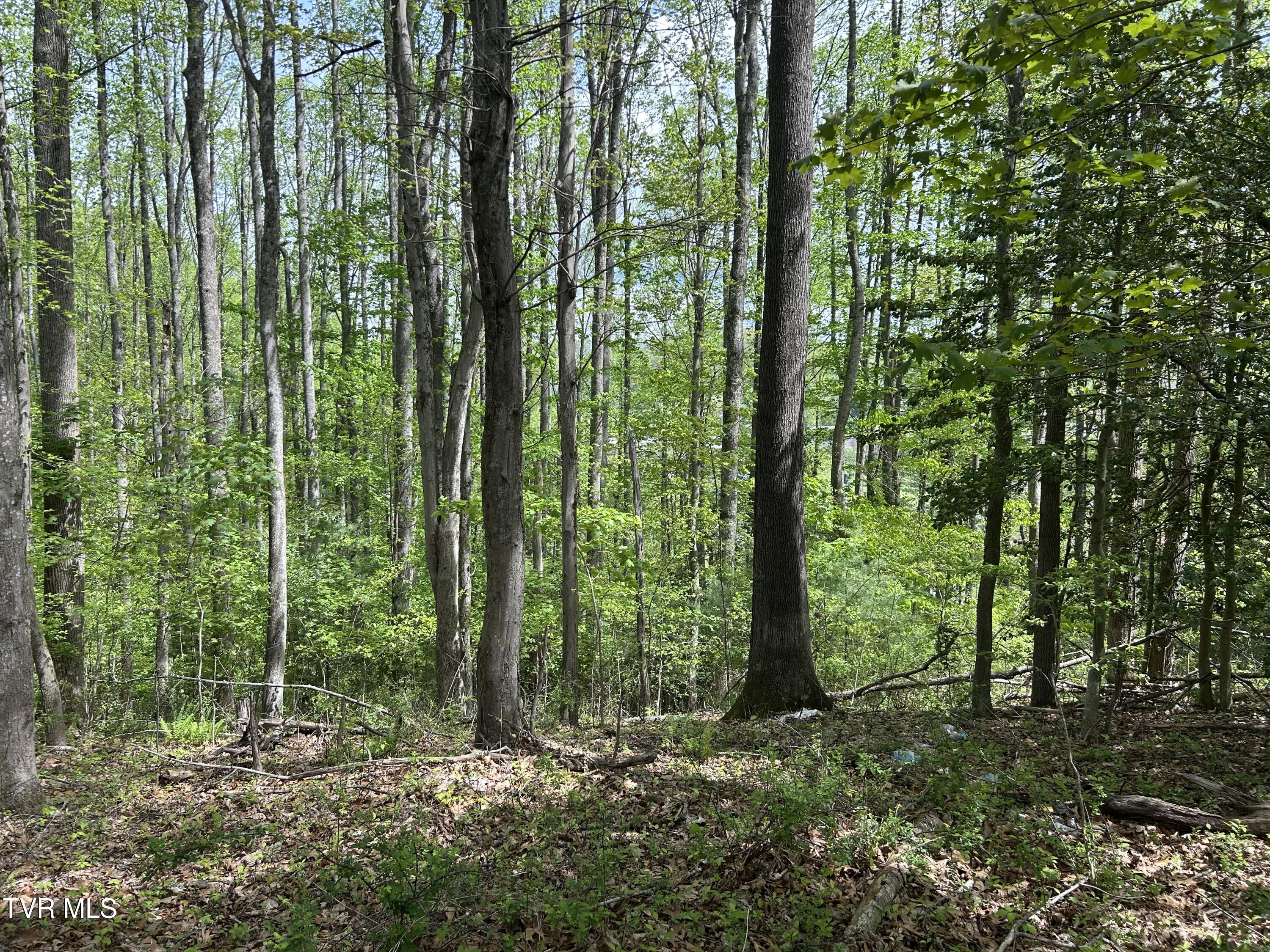 Tbd Highland Street, Wise, Virginia image 7