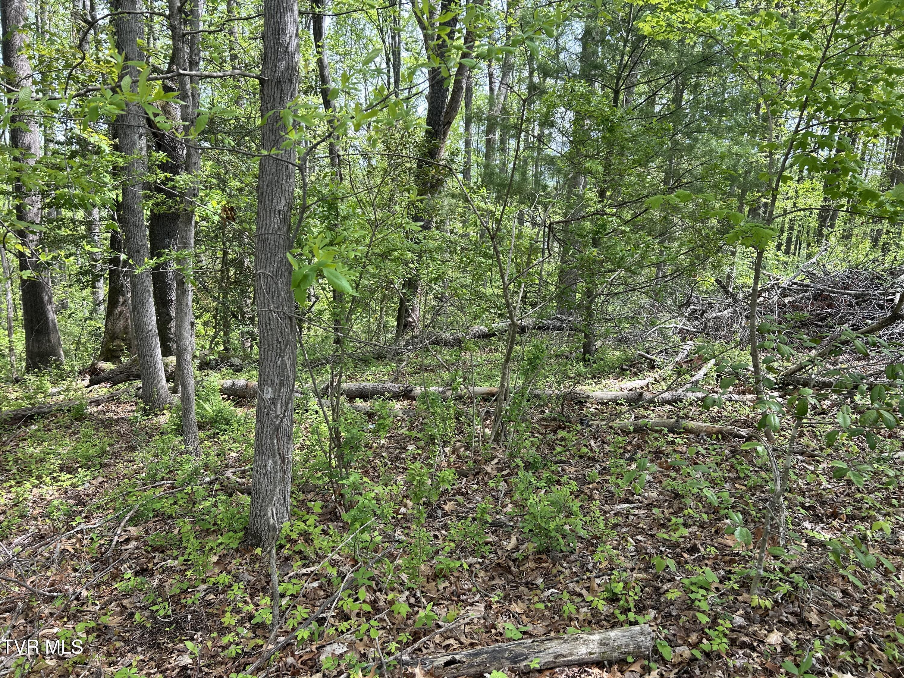 Tbd Highland Street, Wise, Virginia image 4