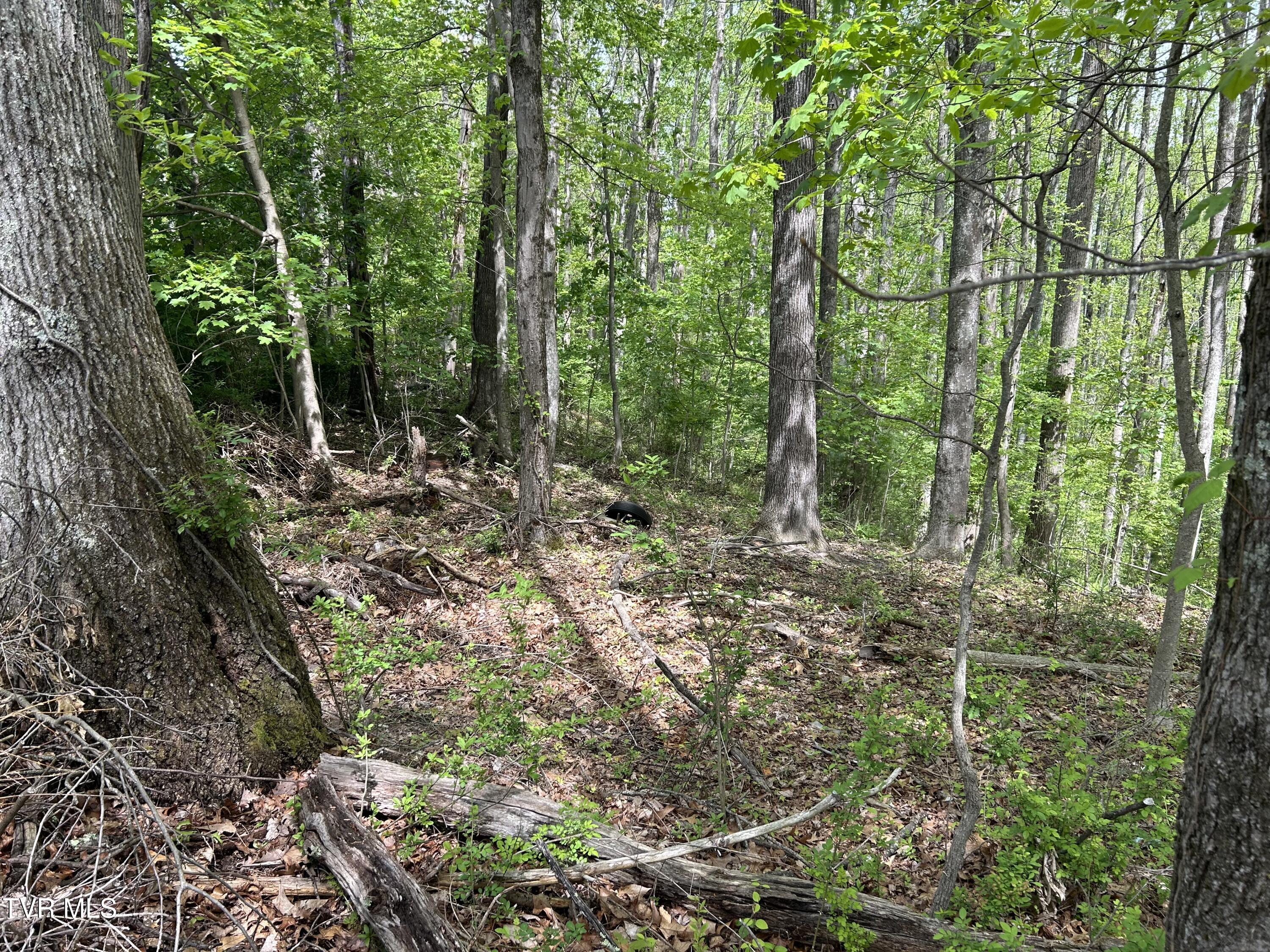 Tbd Highland Street, Wise, Virginia image 6