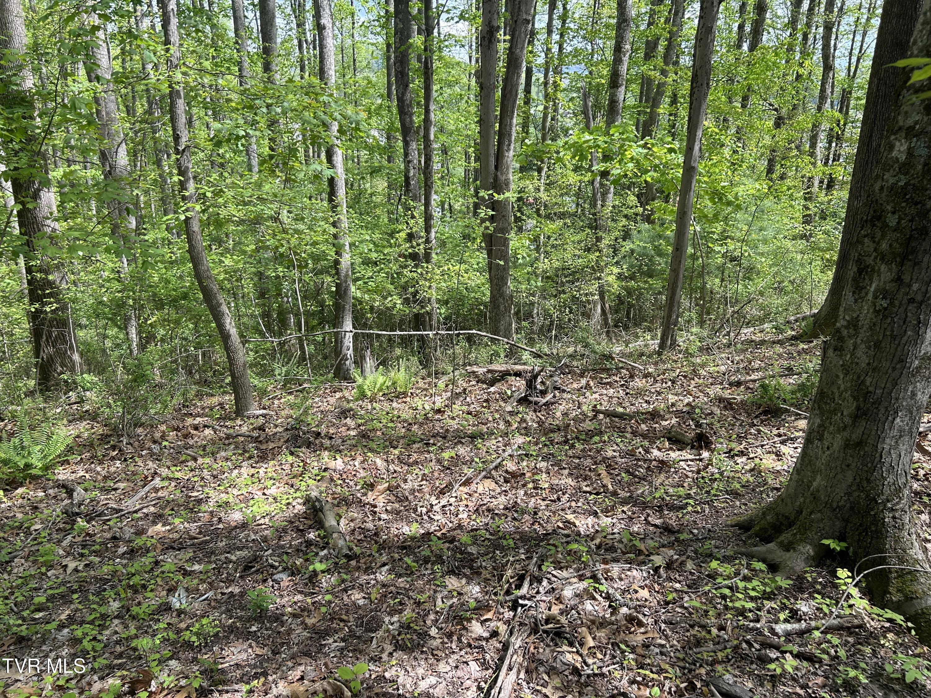Tbd Highland Street, Wise, Virginia image 10