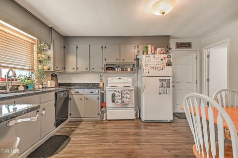 Tiny photo for 306 Jefferson Avenue, Mount Carmel, TN 37645 (MLS # 9984381)