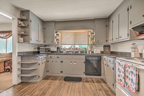 Tiny photo for 306 Jefferson Avenue, Mount Carmel, TN 37645 (MLS # 9984381)