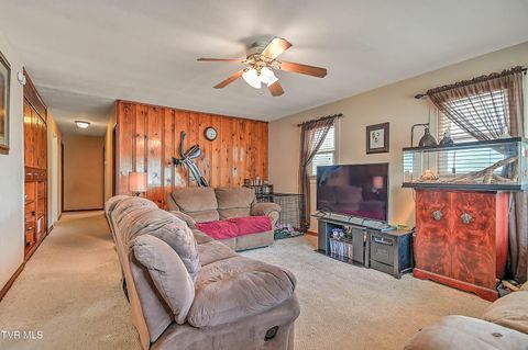 Tiny photo for 306 Jefferson Avenue, Mount Carmel, TN 37645 (MLS # 9984381)
