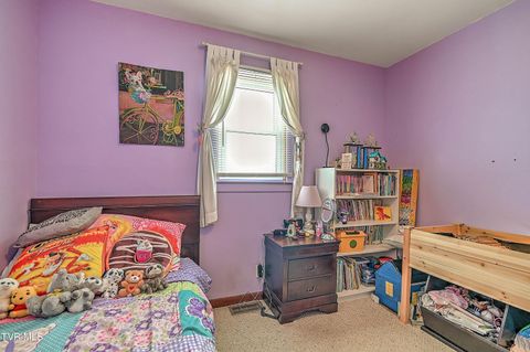 Tiny photo for 306 Jefferson Avenue, Mount Carmel, TN 37645 (MLS # 9984381)