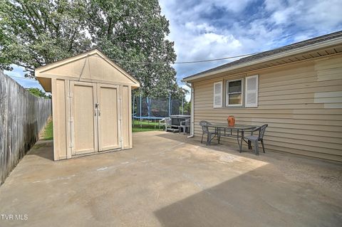 Tiny photo for 306 Jefferson Avenue, Mount Carmel, TN 37645 (MLS # 9984381)