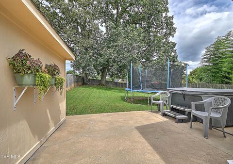 Tiny photo for 306 Jefferson Avenue, Mount Carmel, TN 37645 (MLS # 9984381)