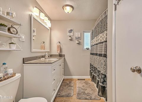 Tiny photo for 306 Jefferson Avenue, Mount Carmel, TN 37645 (MLS # 9984381)