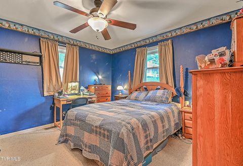 Tiny photo for 306 Jefferson Avenue, Mount Carmel, TN 37645 (MLS # 9984381)