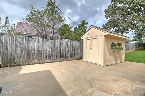 Tiny photo for 306 Jefferson Avenue, Mount Carmel, TN 37645 (MLS # 9984381)