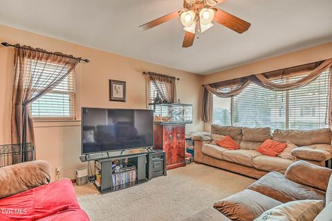 Tiny photo for 306 Jefferson Avenue, Mount Carmel, TN 37645 (MLS # 9984381)