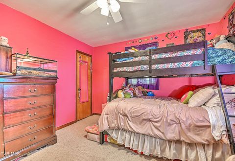 Tiny photo for 306 Jefferson Avenue, Mount Carmel, TN 37645 (MLS # 9984381)