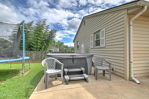 Tiny photo for 306 Jefferson Avenue, Mount Carmel, TN 37645 (MLS # 9984381)