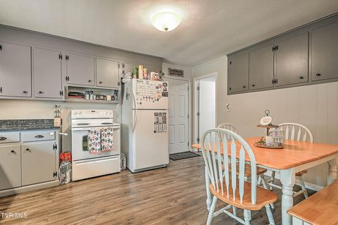 Tiny photo for 306 Jefferson Avenue, Mount Carmel, TN 37645 (MLS # 9984381)