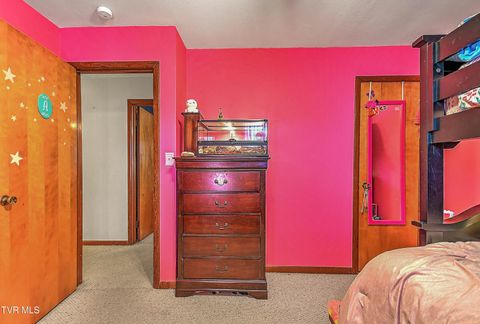 Tiny photo for 306 Jefferson Avenue, Mount Carmel, TN 37645 (MLS # 9984381)