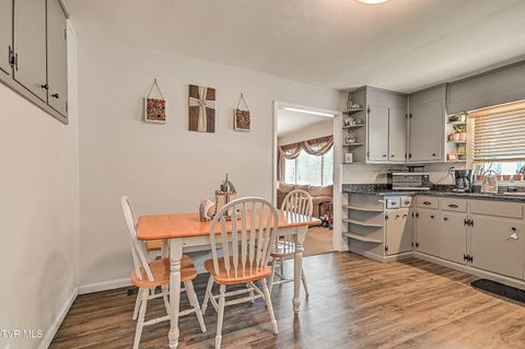 Tiny photo for 306 Jefferson Avenue, Mount Carmel, TN 37645 (MLS # 9984381)