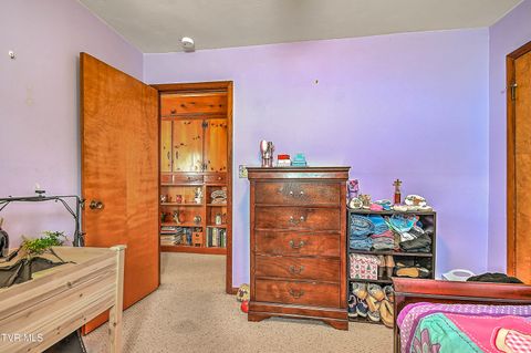 Tiny photo for 306 Jefferson Avenue, Mount Carmel, TN 37645 (MLS # 9984381)