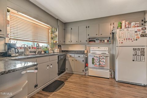 Tiny photo for 306 Jefferson Avenue, Mount Carmel, TN 37645 (MLS # 9984381)