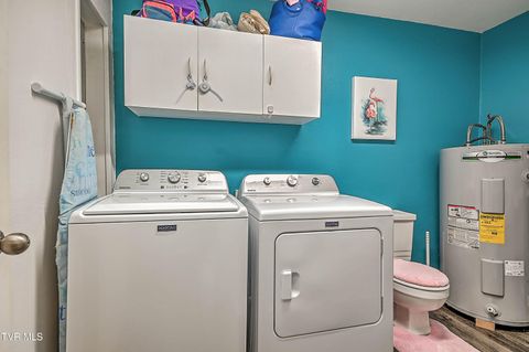 Tiny photo for 306 Jefferson Avenue, Mount Carmel, TN 37645 (MLS # 9984381)