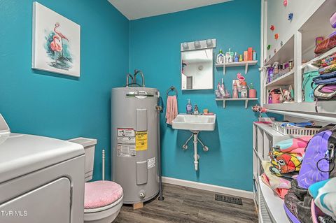 Tiny photo for 306 Jefferson Avenue, Mount Carmel, TN 37645 (MLS # 9984381)