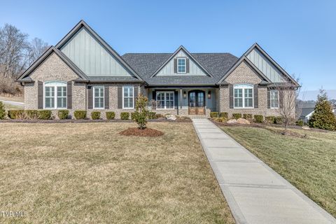 Photo of 3 Sweet Pea Terrace, Johnson City, TN 37615 (MLS # 9991035)