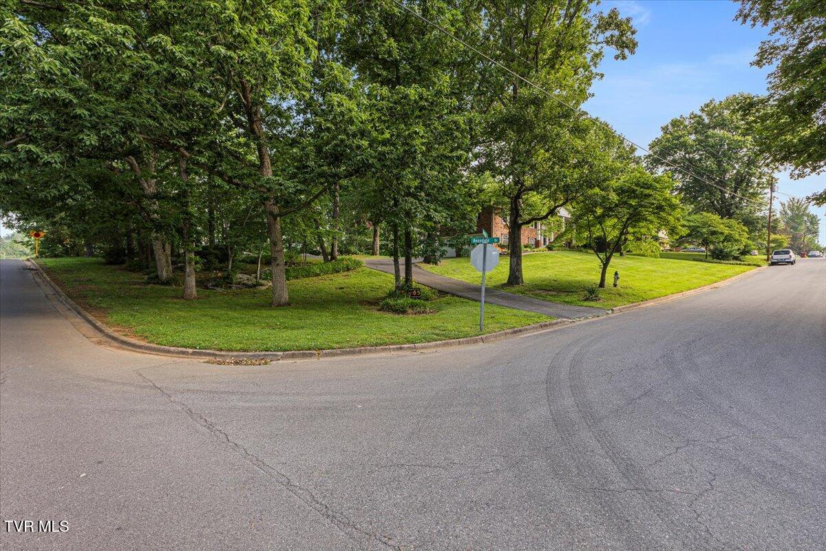 718 Montclair Drive, Johnson City, Tennessee image 49