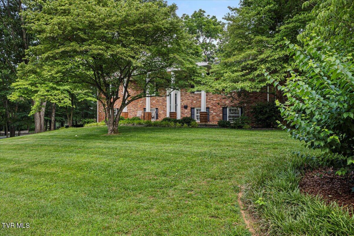 718 Montclair Drive, Johnson City, Tennessee image 6