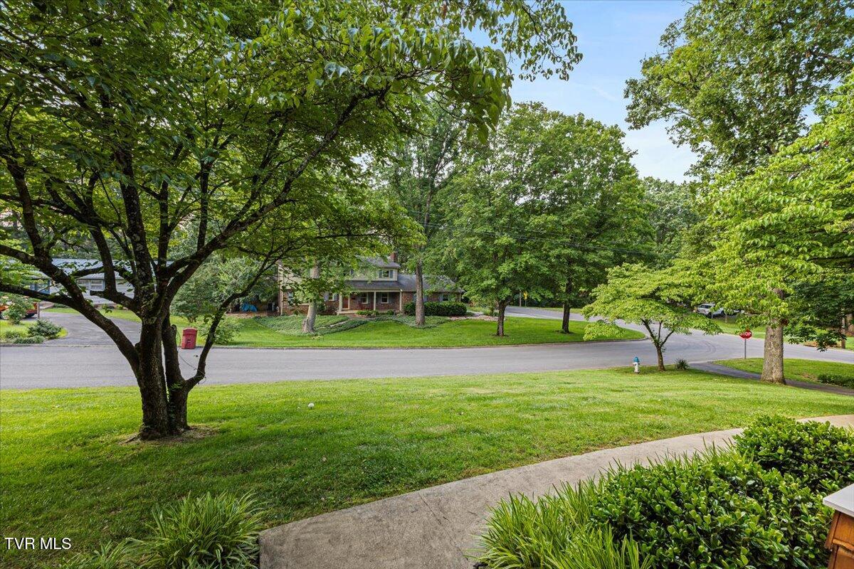 718 Montclair Drive, Johnson City, Tennessee image 13