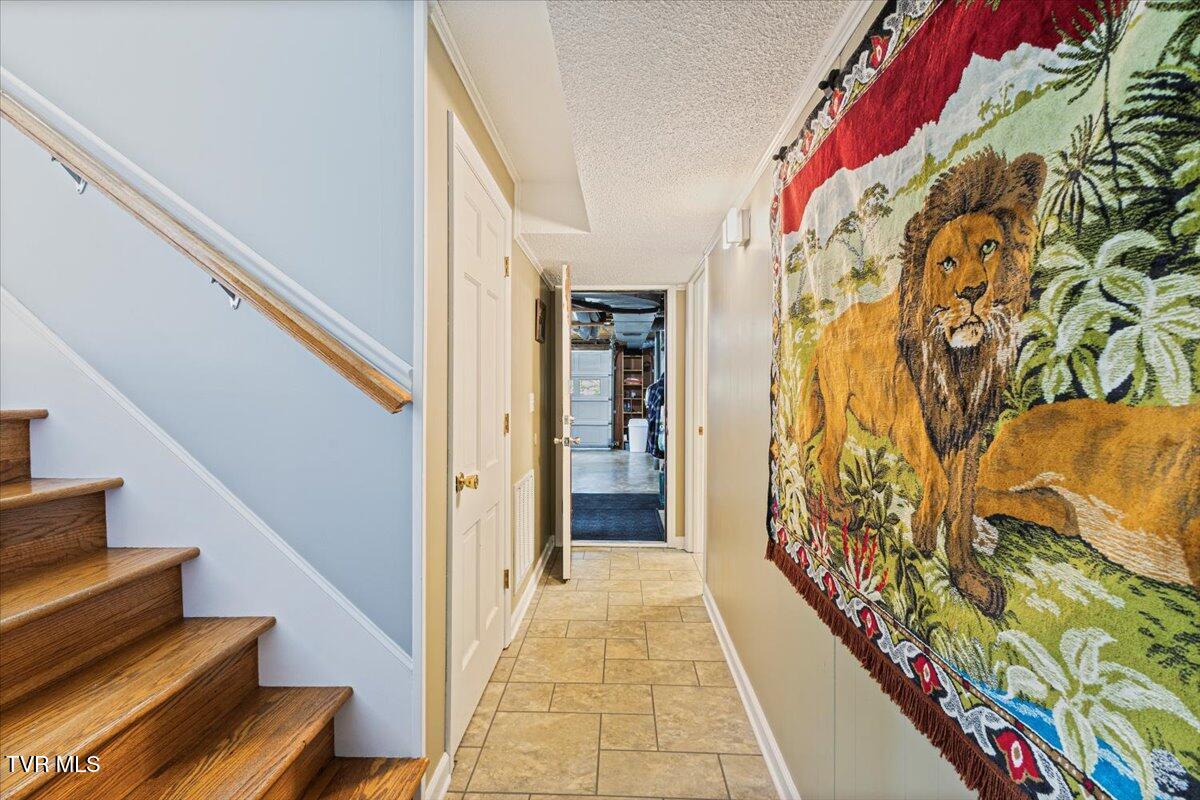 718 Montclair Drive, Johnson City, Tennessee image 34
