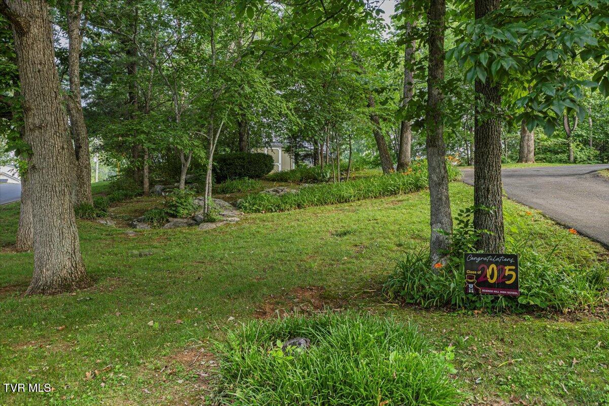 718 Montclair Drive, Johnson City, Tennessee image 50