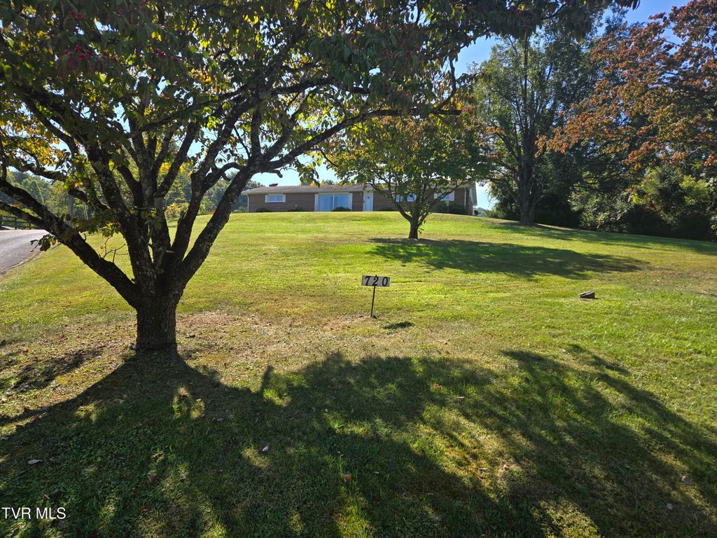 Photo of 720 Mohawk Drive, Erwin, TN 37650 (MLS # 9988127)