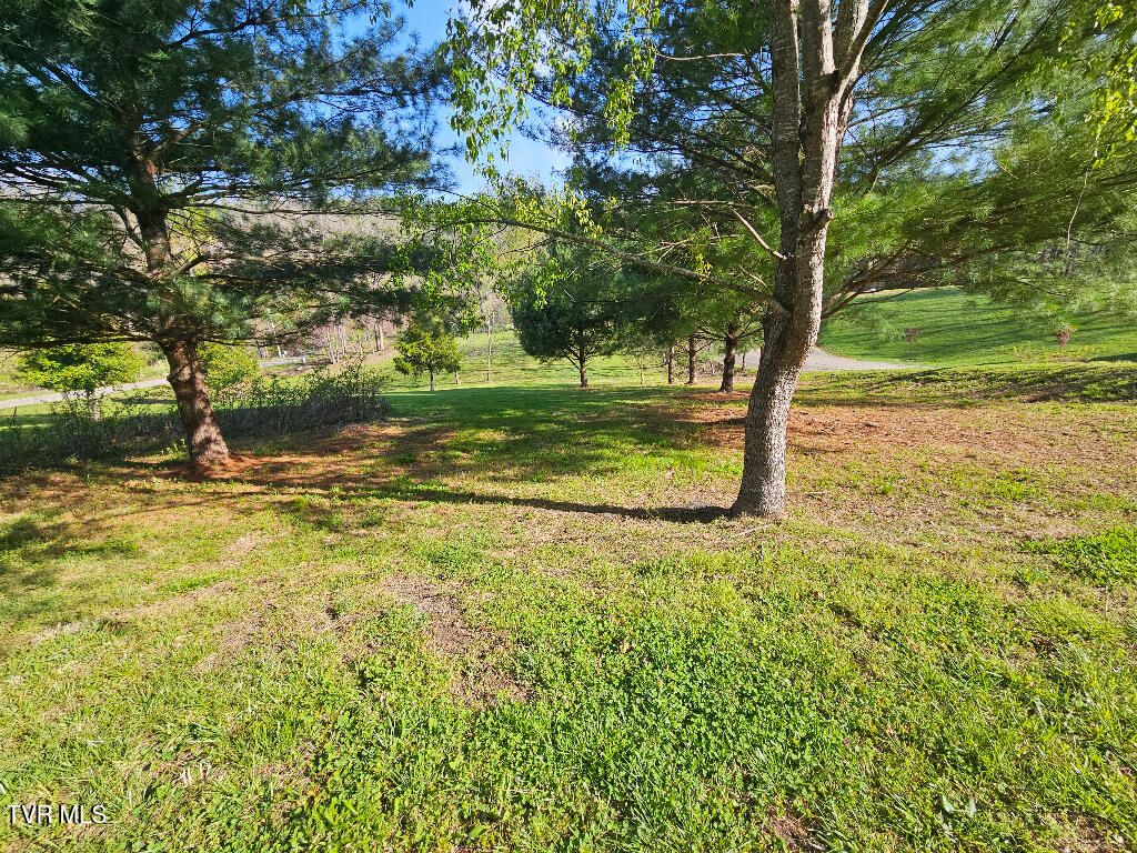 Photo of 1881 Norris Road, Butler, TN 37640 (MLS # 9984235)