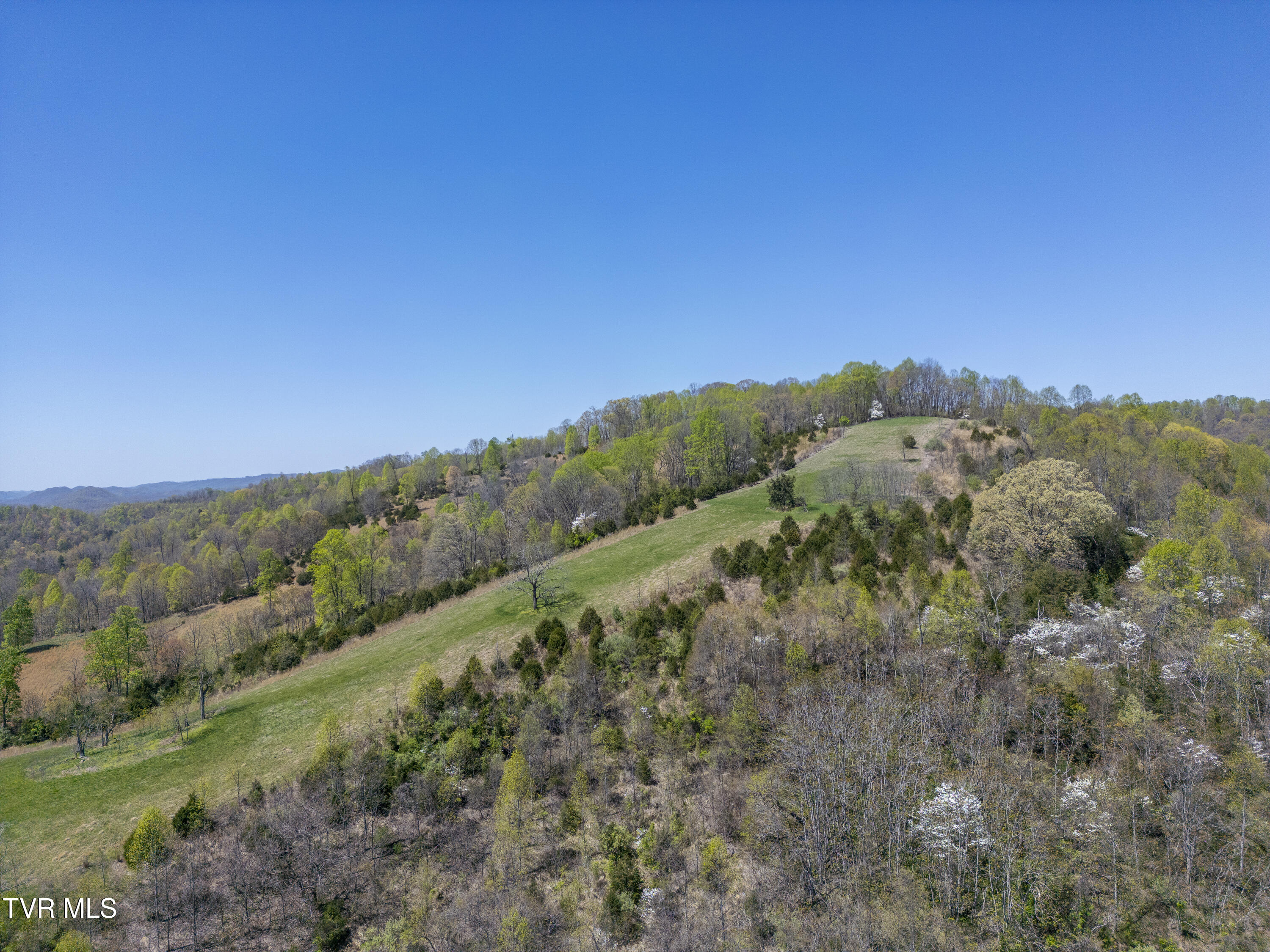 Tbd Kingdom Road, Duffield, Virginia image 4