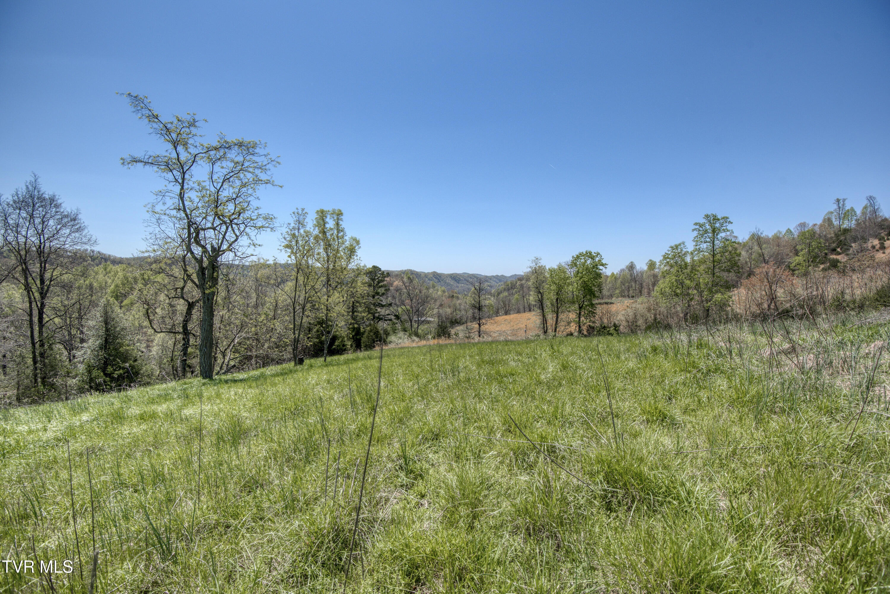 Tbd Kingdom Road, Duffield, Virginia image 8