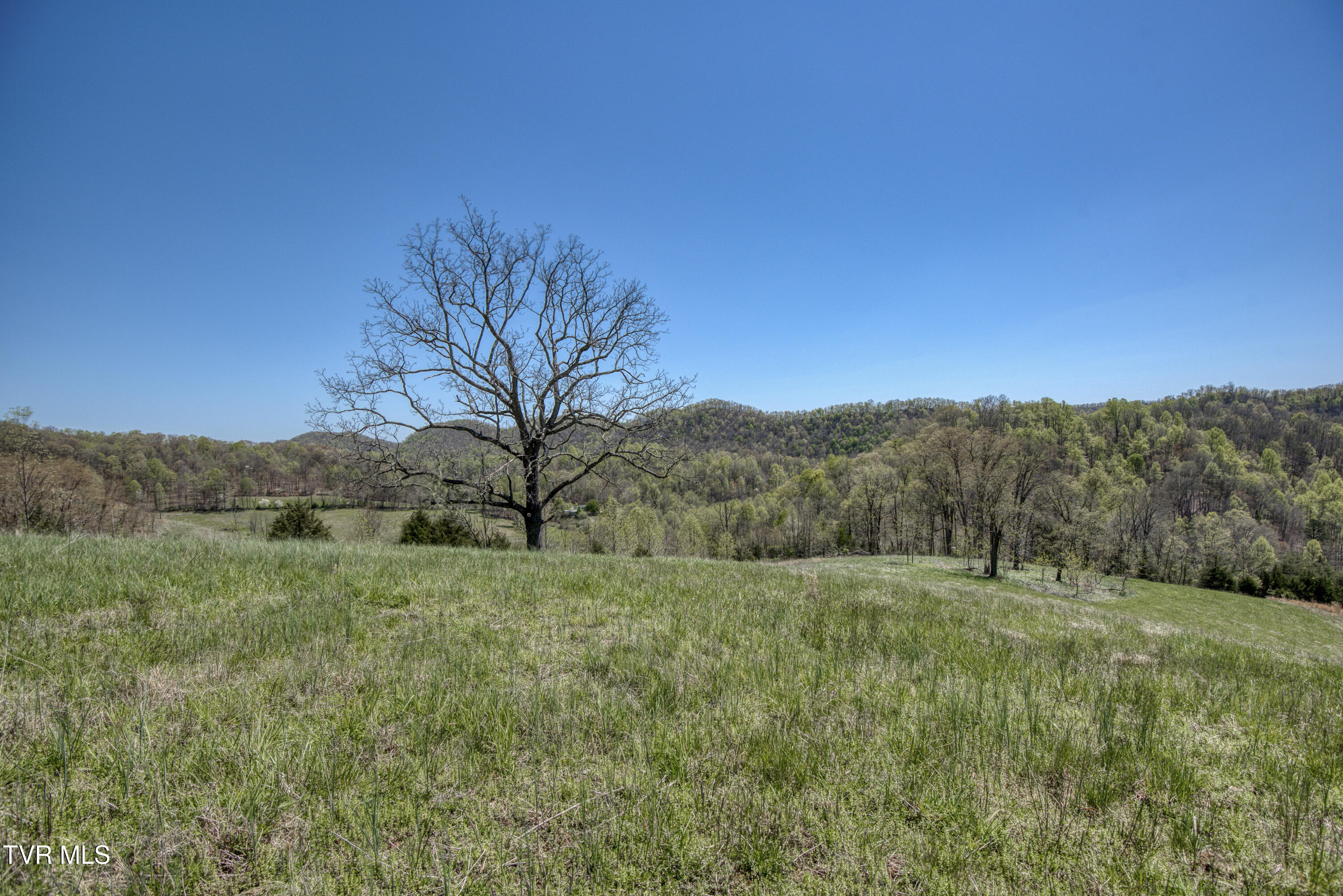 Tbd Kingdom Road, Duffield, Virginia image 10