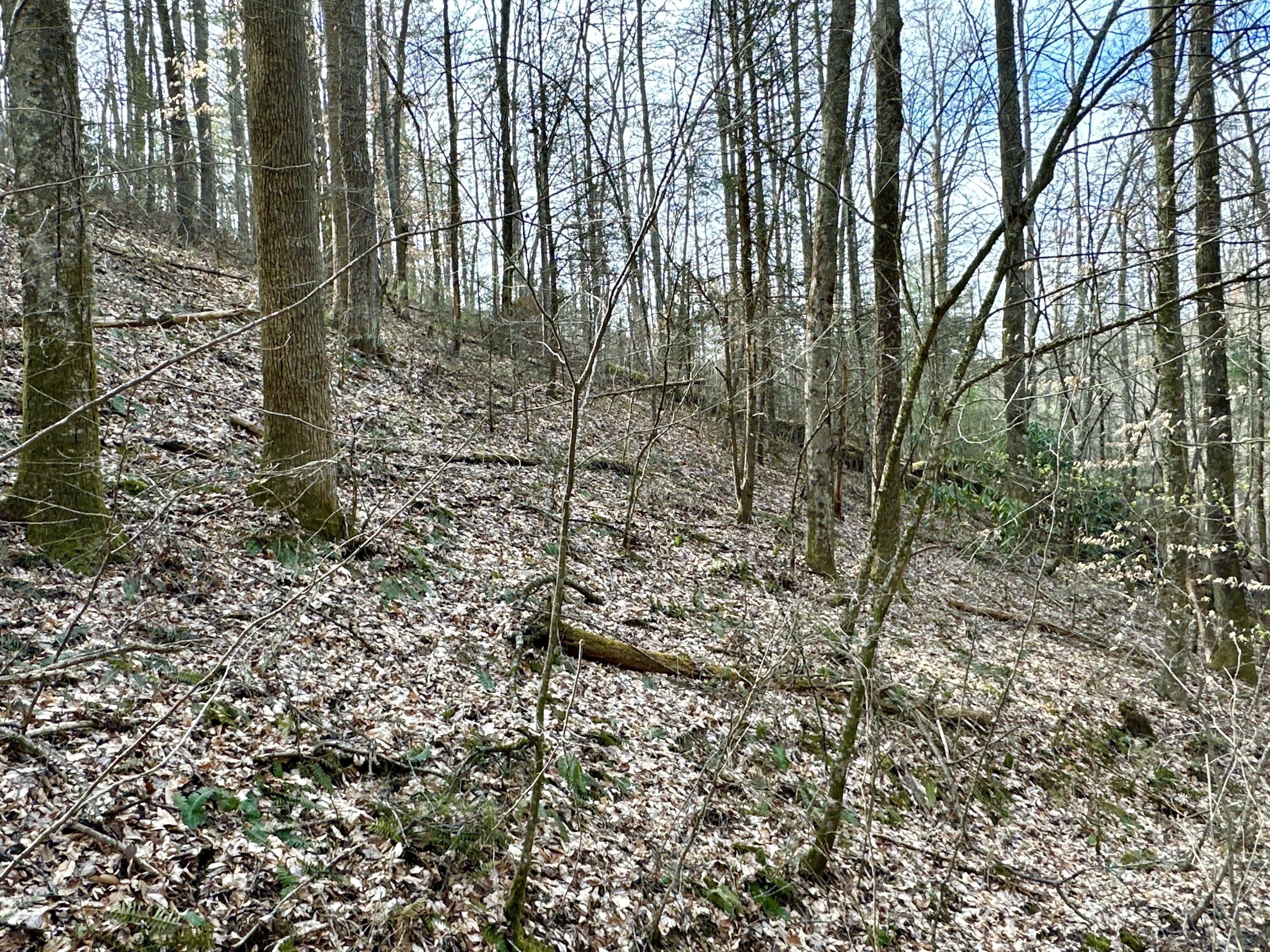 Lot 25 Standing Rock Way, Del Rio, Tennessee image 3