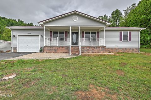 Photo of 936 Diane Avenue, Erwin, TN 37650 (MLS # 9995250)