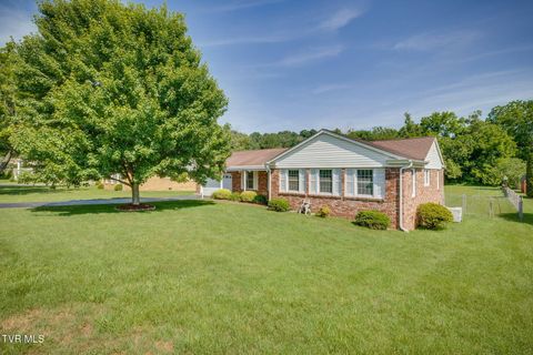Homes For Sale - 812 Kendrick Creek Road<br/> Kingsport, TN 37663