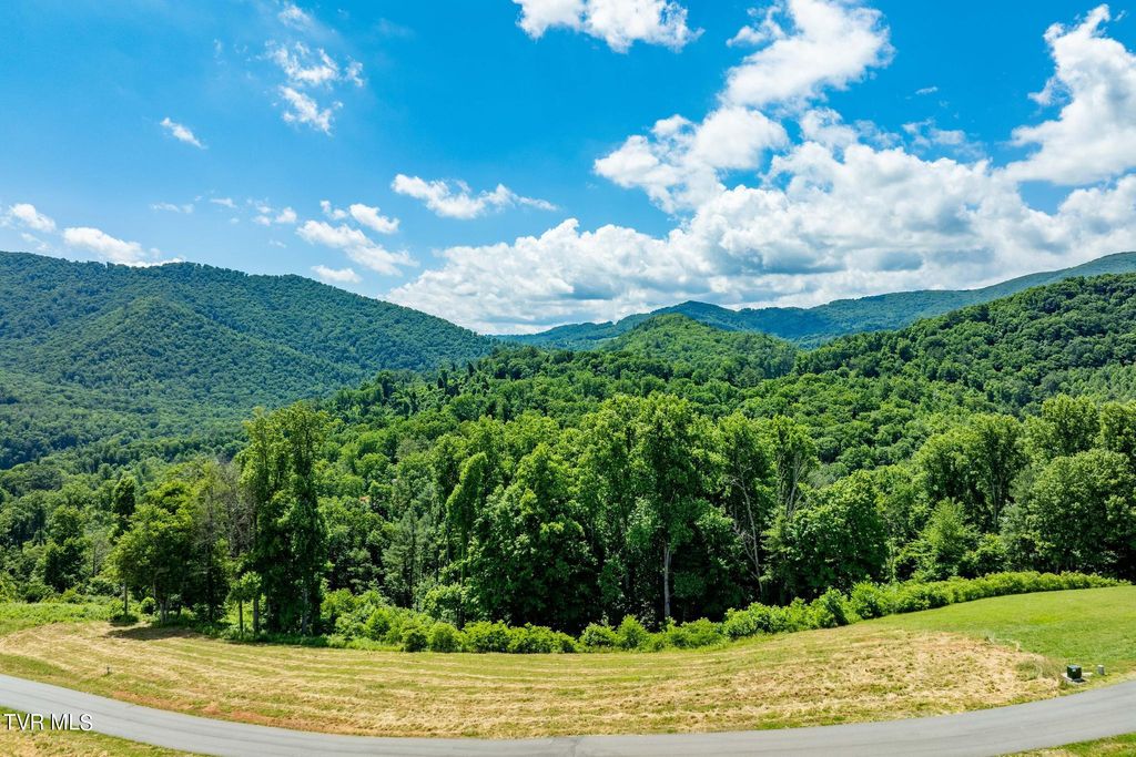 Photo of 28 Eagle Ridge Parkway, Butler, TN 37640 (MLS # 9984731)