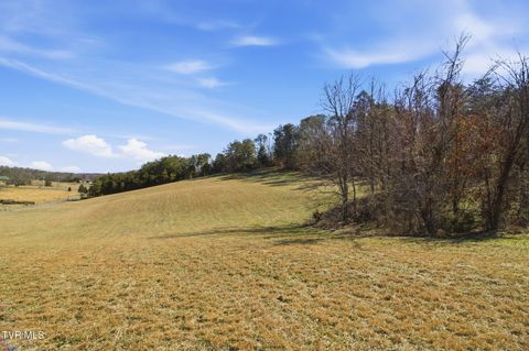 1470 Snake Hollow Road Greeneville TN 37743