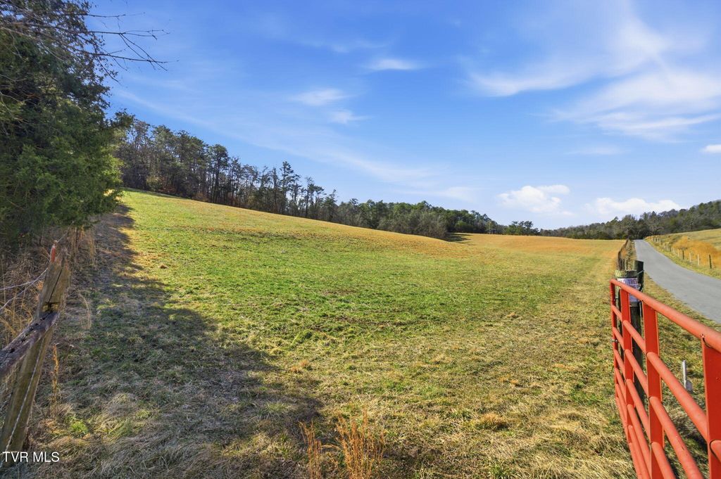 Photo of 1470 Snake Hollow Road, Greeneville, TN 37743 (MLS # 9991245)